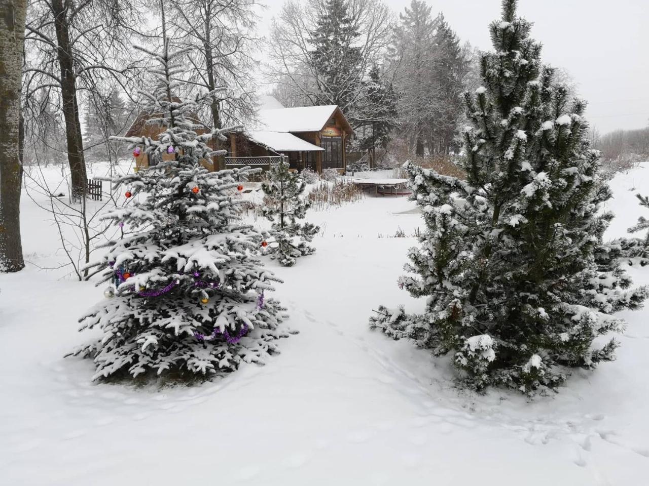 Raudonkalnis Hostal Mankiskiai Exterior foto